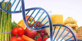 Dieta DNA GENOMA