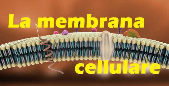 Membrane cellulari e salute